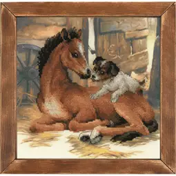 Foal and Puppy