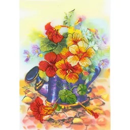 Garden Watering Can