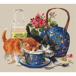 Kittens & Milk