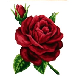 Red Rose 