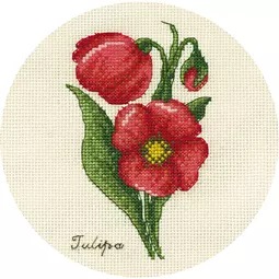 Small Bunch of Tulips