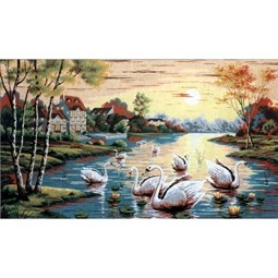 Sunset Swans
