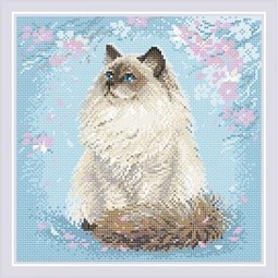 Meow-Zen