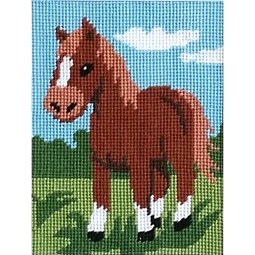 Pony